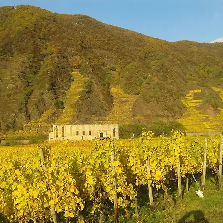 Historisches Fachwerkhaus Mit Modernem Komfort Direkt An Der Mosel By Interhome * Mesenich